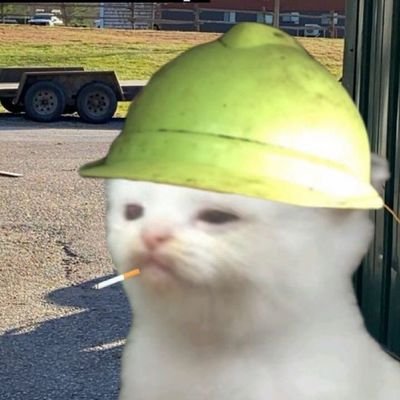 sibernot300's profile picture. Mécano, joueur de jeu vidéo, regardeur de film et fatigué.
Membre de la SFBE🌐