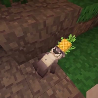 NatashaPortoca2's profile picture. 22 𝕬𝖚𝖗𝖔𝖓~𝕯𝖊𝖘𝖘~𝕹𝖔𝖓𝖎~𝕵𝖚𝖆𝖓 🤍💚💙💛❤️