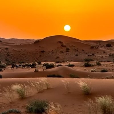 ((وَمَن يَتَوَكَّلْ عَلَى اللَّهِ فَهُوَ حَسْبُهُ ۚ إِنَّ اللَّهَ بَالِغُ أَمْرِهِ))