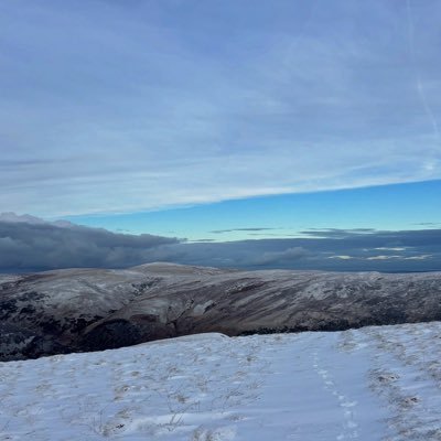 BryBrown98's profile picture. 