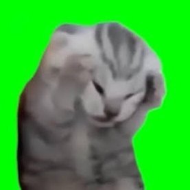 0J5hICJtls12916's profile picture. 