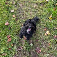 Mrs P (@rpalmer82218) 's Twitter Profile Photo Mrs P (@rpalmer82218) 's Twitter Profile Photo