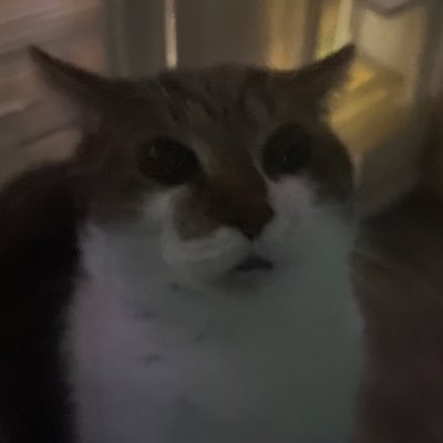 ItzMerwy's profile picture. 