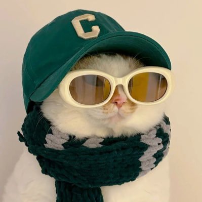 l0la_kay's profile picture. cats and stuff