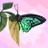 BeingEven's profile image