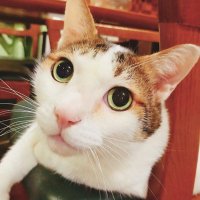 マサ (@6lvfmfhzkxksysk) 's Twitter Profile