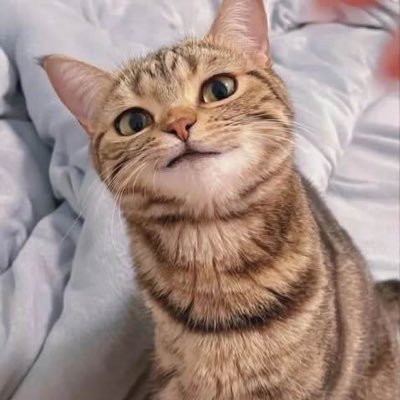 angeldustOR's profile picture. 