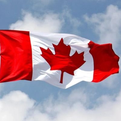 IKLTDYEG's profile picture. 