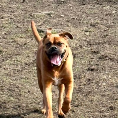 Ama0047H's profile picture. 