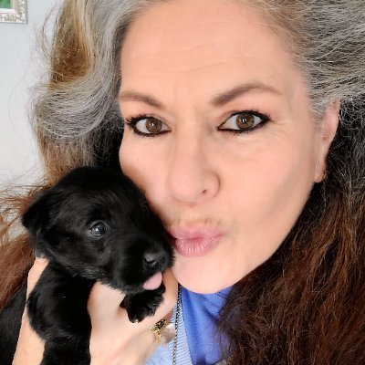 mh_mhoeh's profile picture. Proud LEGAL Immigrant