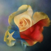 Merry (@merrymerry_tx) 's Twitter Profile