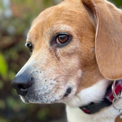 ECPorter's profile picture. Love & Honor. these are my personal views.