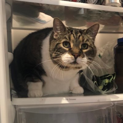 Jed_Lorein's profile picture. Writer, Author, Poet, Word mercenary, laying words down for money, literary lover, friend, driver, motorcycle rider