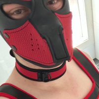 Puplychee (@puplychee) 's Twitter Profile