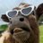 Francyyy003's profile image