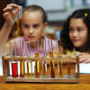 As a scientist myself, I know that the challenging fields of science and mathematics can also be fun for kids. I have lots of science fair project ideas also.