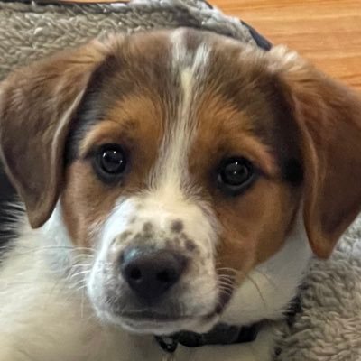 AngelaJasensky's profile picture. Proud Democrat 💙 Equality/Healthcare/Education/Environment