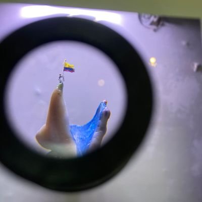 fra37902127's profile picture. 