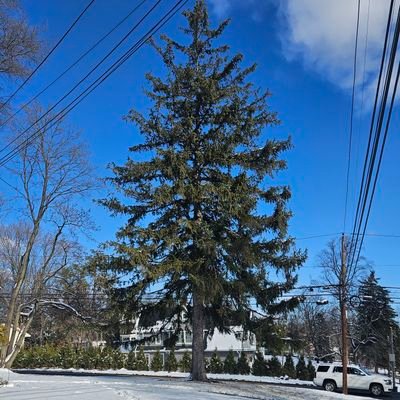 ChuzzyFresh's profile picture. father, maker of money & music, $MAI porfundit💥💥💥