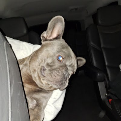 mdschatz45's profile picture. Huge Kanye fan and still kinda new to twitter/x. just occasionally post for fun