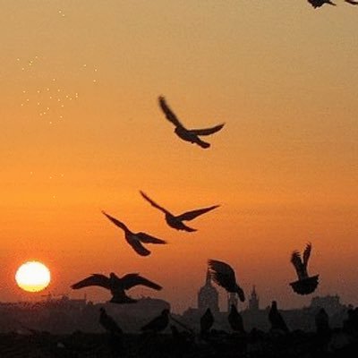 Uma paulistana morando no Paraná que gosta de livros, tecnologia, Apple, fotografia.