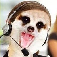 Telefonista do toma-toma (@an0nimia_) 's Twitter Profile