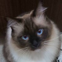 友 (@qsrnekacpz3444z) 's Twitter Profile