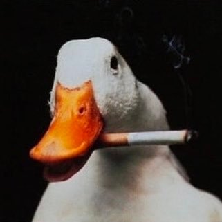 duckymilkers's profile picture. Knucklehead, goofball, engineer, and all around agent of chaos