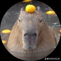 いとちん (@bicycle0131) 's Twitter Profile