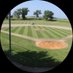 Land O’ Ducks League (@landoducksbb) Twitter profile photo Land O’ Ducks League (@landoducksbb) Twitter profile photo