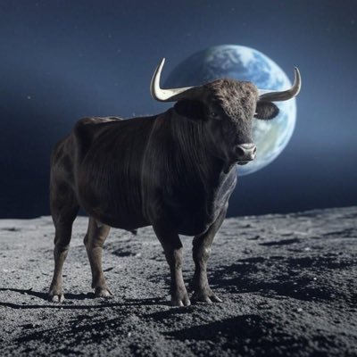 Pavel838116's profile picture. Crypto trader | 10x portfolio in 2 years | Sharing analysis & trade signals. Not financial advice (but try it anyway)