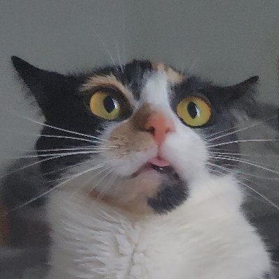 DaveIsMe1992's profile picture. Erm
Brain no work
Big dum