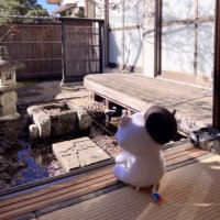たっつん☕︎︎𓈒𓂂𓏸 (@l_4966sw_l) Twitter profile photo