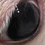 cissl8's profile picture. 都内 手押し  野菜 🥦