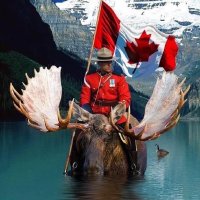 Rural Albertan 🇨🇦♥️ (@albertan_rural) Twitter profile photo
