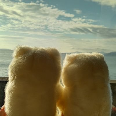 滝川さんのプロフィール画像