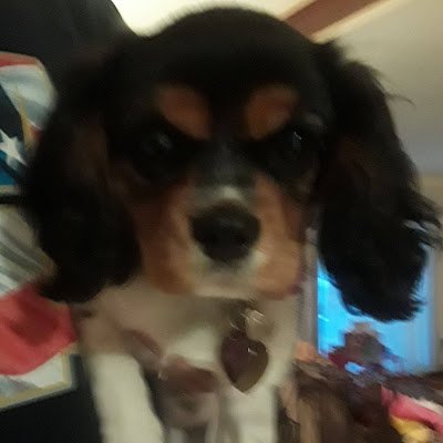 Southerndad301's profile picture. 