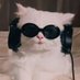 ĤOor😺 (@h08r_) Twitter profile photo ĤOor😺 (@h08r_) Twitter profile photo