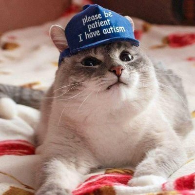 I like guns, anime, and animals. Army veteran (11B). Multicam respecter and weird technical lover. DO NOT SEND ME NECO ARC. I hate feral hogs