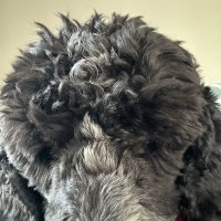 Jeffrey Watson (@jw_math_teacher) 's Twitter Profile