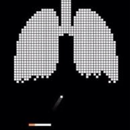 Ex smoker providing daily motivation and enlightenment to help you quit smoking once and for all!