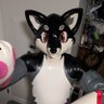 Zale__Husky_AD's profile picture. Rubber pool toy fox  🔞 (minors will be blocked) level 24