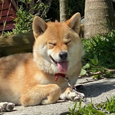 _CABCUB_'s profile picture. MWAMﾘﾌﾞﾀｿ推し🐺 最近FWAM会員になったよ01DEC23 MWAMはいいぞ。#秘密結社LAMPS バイク乗ってたりしました。 期間限定航空整備士