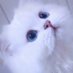 ³nuёt (@3nue___t) Twitter profile photo ³nuёt (@3nue___t) Twitter profile photo