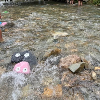 m68hisaaa's profile picture. 関西学院大学