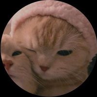 🌼 (@mileweher) 's Twitter Profile Photo
