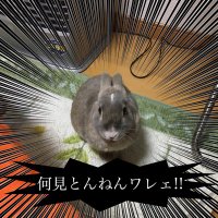 一一@なろう&カクヨム (@n1n0_hqj1) 's Twitter Profile Photo 一一@なろう&カクヨム (@n1n0_hqj1) 's Twitter Profile Photo