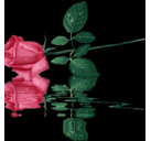 تستاهل القلب (@0553544565) Twitter