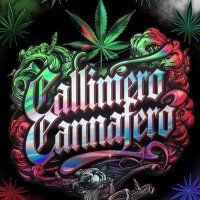 CallimeroCannafero (@callimerocanna) 's Twitter Profile