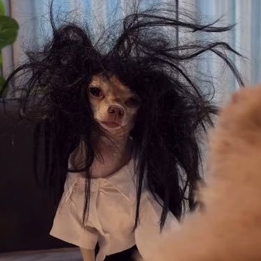 cherishyoubby's profile picture. 𓈒𓂂 this user is happie 𓅿